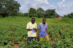 organic farm inspection